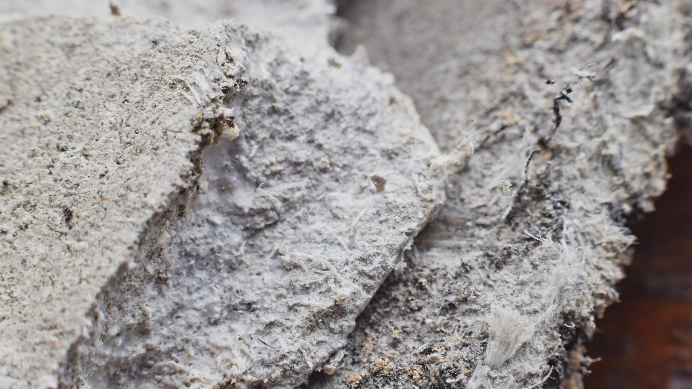 What Is Asbestos? Your Guide to Asbestos Workplace Safety